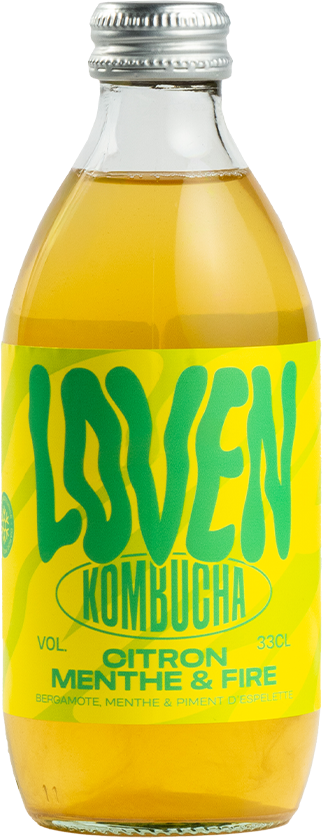Loven Kombucha - Citron, menthe & fire